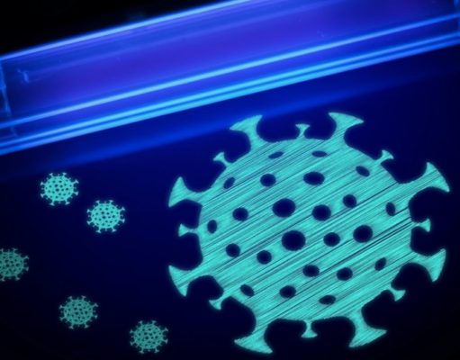 Маленькие убийцы вирусов