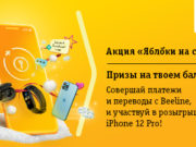 Новогодняя акция от Beeline «Яблоки на снегу»