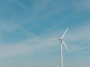 ИИ на страже здоровья редких птиц