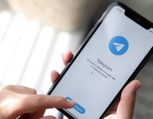Комитет госдоходов запустил чат-бот в Telegram