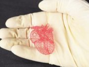 Новая технология 3D-печати может ускорить выращивание искусственных органов