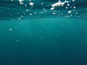 Мягкий робот – покоритель глубин