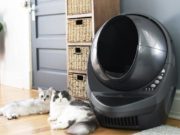 Роботуалет избавит владельцев животных от неприятных обязанностей