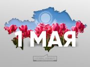 Уважаемые читатели нашего портала!