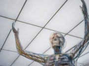 В компьютерных микрочипах – живые нейроны?