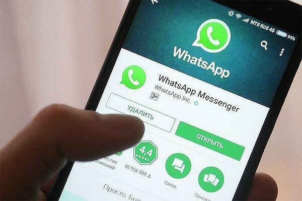 WhatsApp: принять или отказаться?