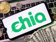 Bitcoin падает, Chia растет