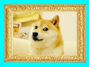 Doge продали. И очень дорого