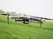 Птицы научат дронов летать!