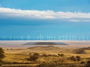 В Казахстане построят крупнейший в мире «зелёный» завод