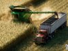 Трудности семейного бизнеса в Farming Simulator 22