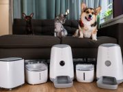 Лето, кошки, собаки и 5 необычных гаджетов для всего этого