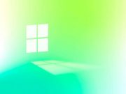 Оно маскируется под установщик Windows 11…