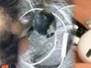 Взрыв Bluetooth-наушников убил человека