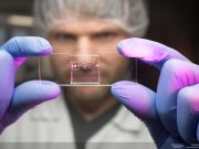 Биочип для тестирования на COVID-19