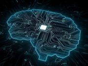 Нейросеть успешно превращается в биомозг