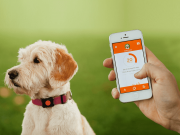 Природа, отдых и забота о братьях наших меньших