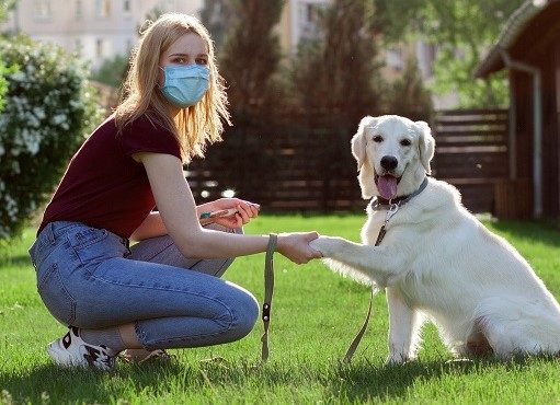 Чипируют в обязательном порядке