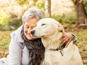 «Хвост удачи» или умный поиск питомцев