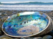 Как морские раковины укрепят дисплеи