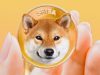Как криптовалютному Shiba Inu  навредил  Илон Маск