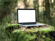 Собираем старые ноутбуки, чтобы посадить лес