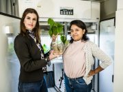 Любое растение станет аккумулятором. Совсем скоро