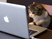 Мы, конечно, не в «тормозах», но все же…