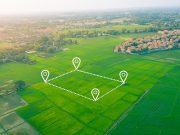 Как подать заявку на бесплатную землю от государства?