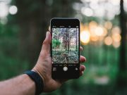 Начало положено. В Павлодаре оцифровали деревья