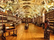 TikTok запустил сервис с гифками TikTok Library