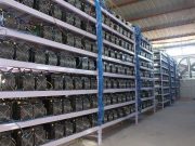 А для майнеров – гибкие налоги!