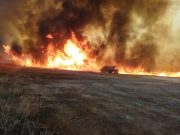 Google начнет помечать в поиске первоисточники новостей