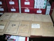 Как сервис «Электронное личное дело» облегчает трудоустройство