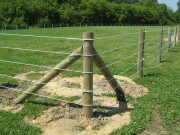 Электрический забор установили в Мангистау