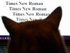 Россиянам заблокировали шрифты Times New Roman, Arial, Verdana, Tahoma и Helvetica