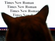 Россиянам заблокировали шрифты Times New Roman, Arial, Verdana, Tahoma и Helvetica
