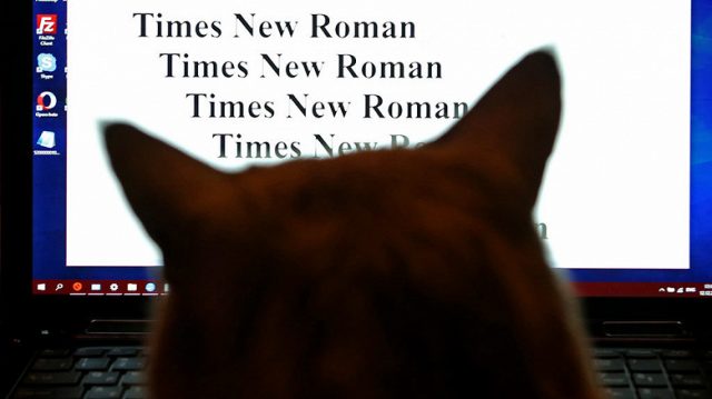 Россиянам заблокировали шрифты Times New Roman, Arial, Verdana, Tahoma и Helvetica