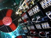 Что для Казахстана очень важно? И почему?