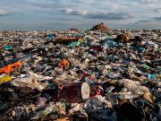 Спутник в Алматы находит свалки