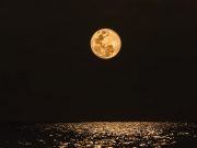 Вот и Корея будет на Луне!