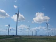 Как “Зеленые технологии” развиваются в столице