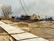 “Цифра” спасет казахстанские леса