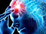 Наш проект Cerebra – в топ-5 мировых стартапов!