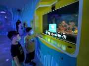 Фишинг в киберпреступности – индивидуальный подход к каждой жертве