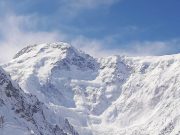 Остаться в живых в «белом плену»