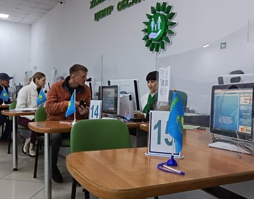 Как идет цифровизация в стране? Важные детали