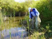 Как “Экобонус” будет мотивировать сдавать мусор на переработку