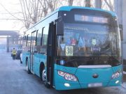 Смартфон и автобус. Приятное с необходимым