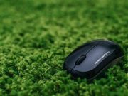 Креатив, дизайн, фантазия или как привычная мышь становится необычной